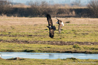 Formation Flying
