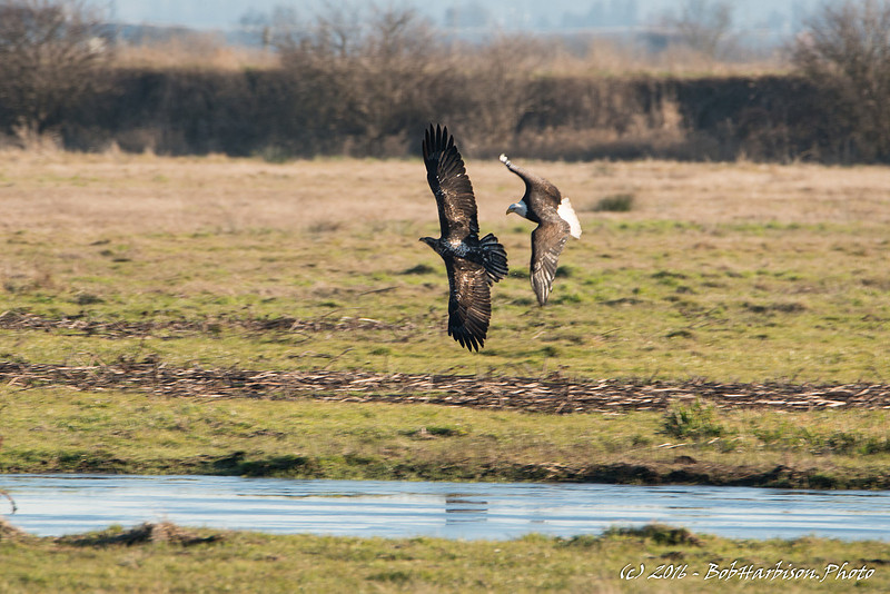 Formation Flying