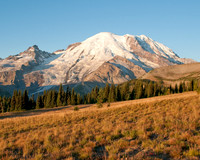 BH1_0946-810