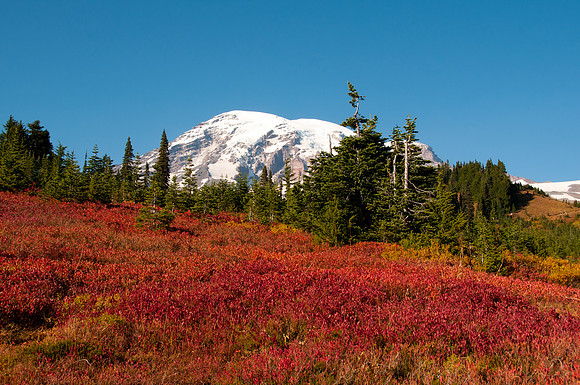 Fall Color at Paradise